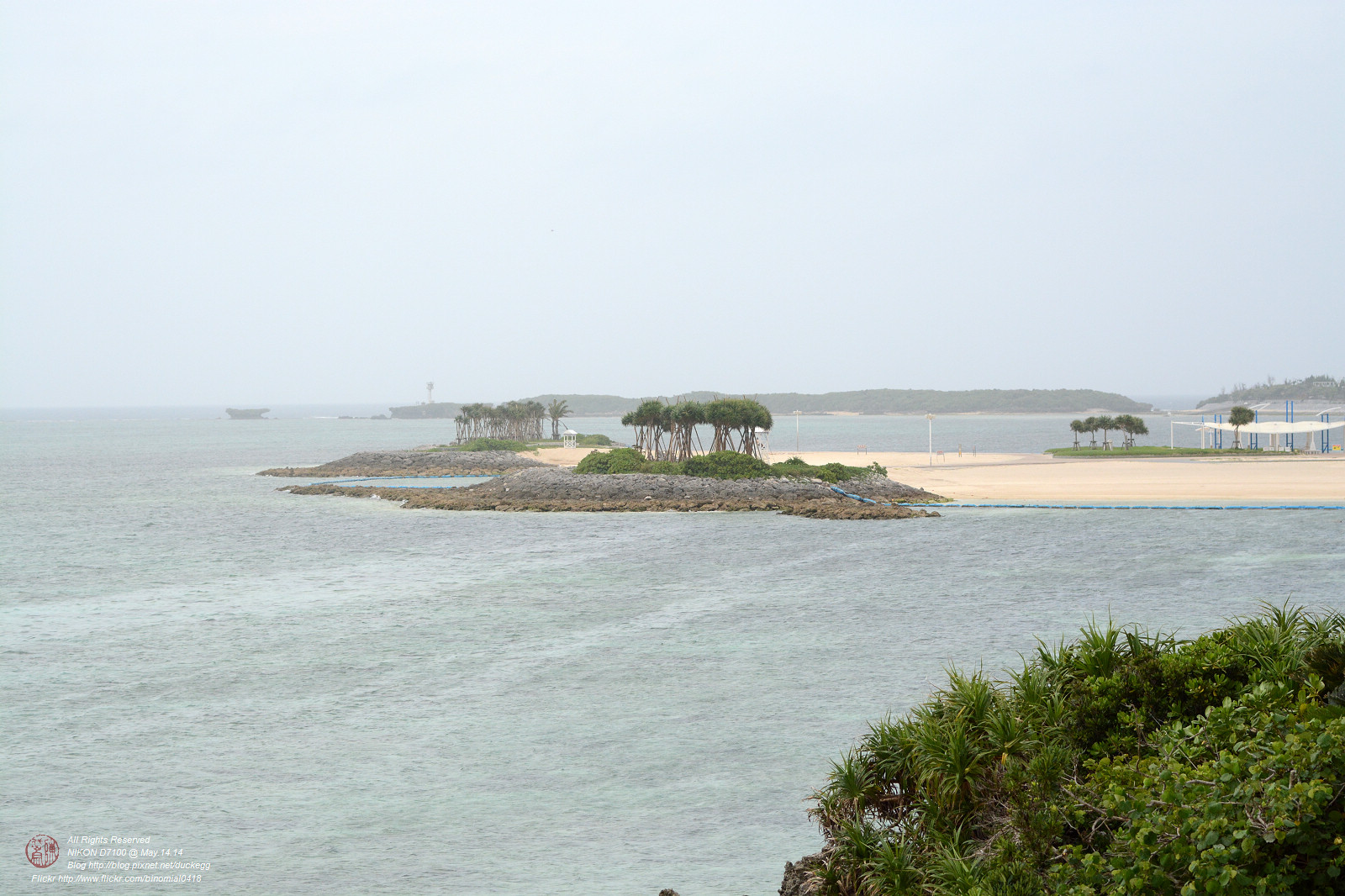 DSC_3117.jpg